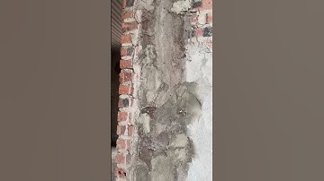 Lý Do Nứt Cổ Trần #shorts