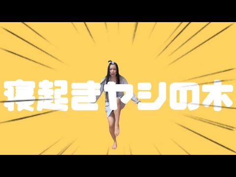 【ツキナミミツキ】寝起きヤシの木  踊ってみた【再現してみた】