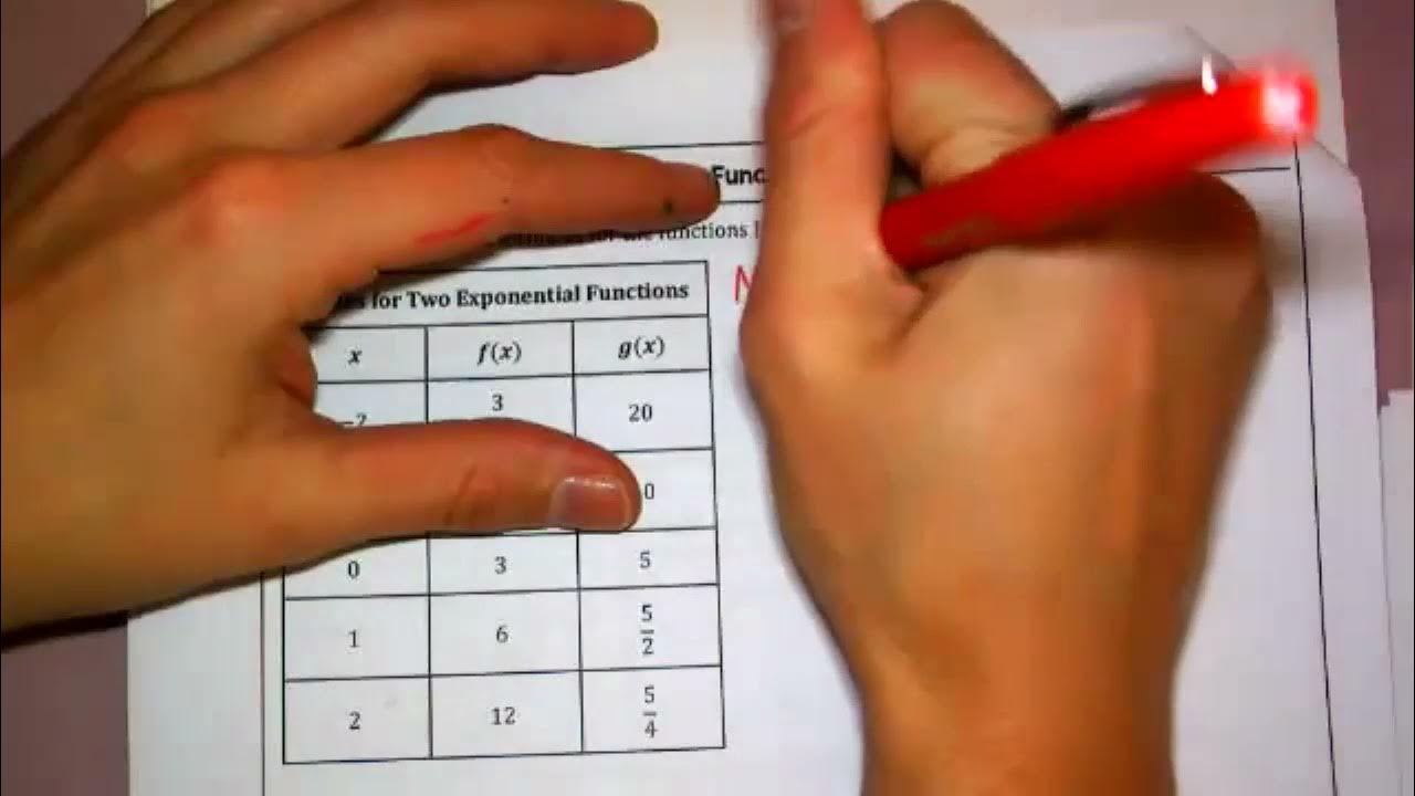 Transformations Of Exponentials Worksheet