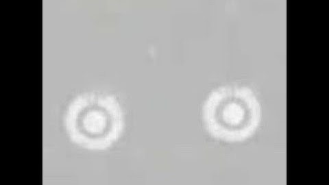 Boot Sequence (Official Audio)