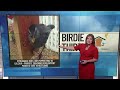 BIRDIE THIRTY: "Spreadable suet?" - EWN at 6:30am on 6-6-2026