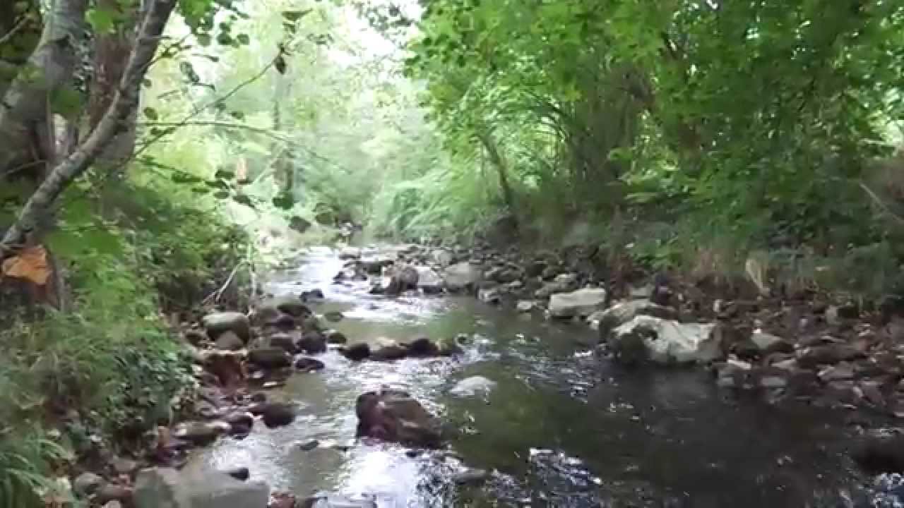RIO GÜEÑA SU PASO POR VILLAR - ONIS