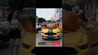 funny bear tiktok video 😂meme video funny brown bear Musically tiktok compilation 😂😂