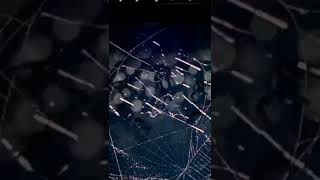 What A Wow Performance