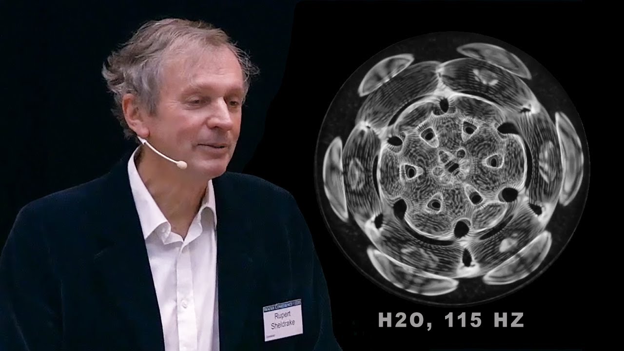 Динамические паттерны в воде как аналоговые модели