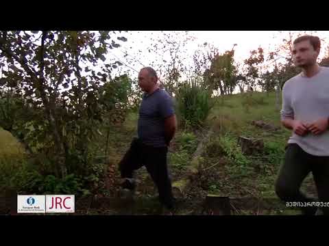 ფაროსანას წინააღმდეგ დას.საქართველოში სახელმწიფომ ქიმიური პრეპარატით წამლობა რამდენჯერმე ჩაატრა