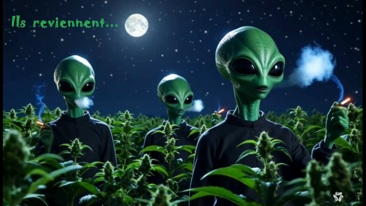 Les merguez enchantées - ils sont revenus ...