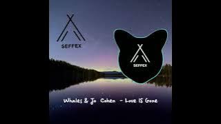 SEFFEX - Whales & Jo Cohen - Love IS Gone