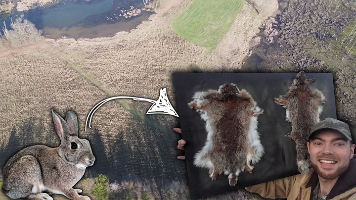 Step-By-Step Guide On How To Flesh & Tan Rabbit Hides!