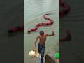 मौत के मुंह से वापसी – सांप से बच गया #shorts #vlog #creativeflow