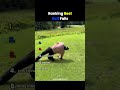 Ranking Best Golf Fails ⛳ #golf #golffails #toprated
