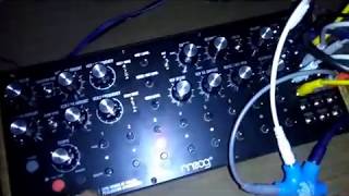 Moog Dfam Patch pulp fiction
