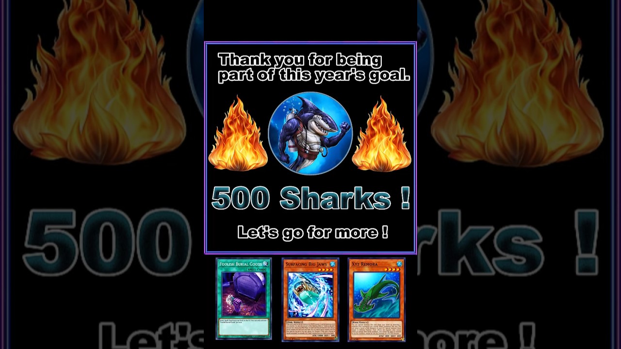 Shark - 3 Cards Combo TCG 