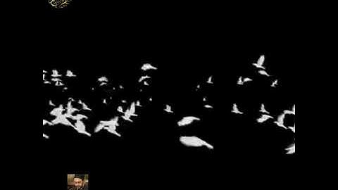 آية الكرسي القارئ الشيخ خالد بركات