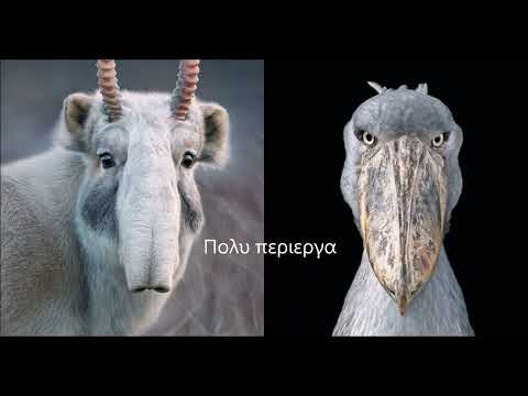 2022 - ΣΤ2