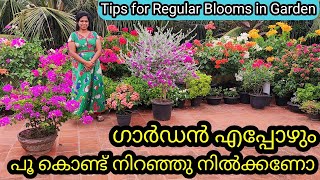 12 Golden Tips for Continuous Flowers in Garden | ഗാർഡൻ പൂ കൊണ്ട് നിറഞ്ഞുനിൽക്കാൻ 12 ടിപ്സ്