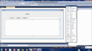 Vb.Net WebBrowser Yapımı