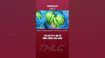 Lào Cai có 51 mã số vùng trồng xuất khẩu | THLC