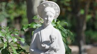 Our Lady at the Center - A Film about Our Lady of La Vang at Christ Cathedral