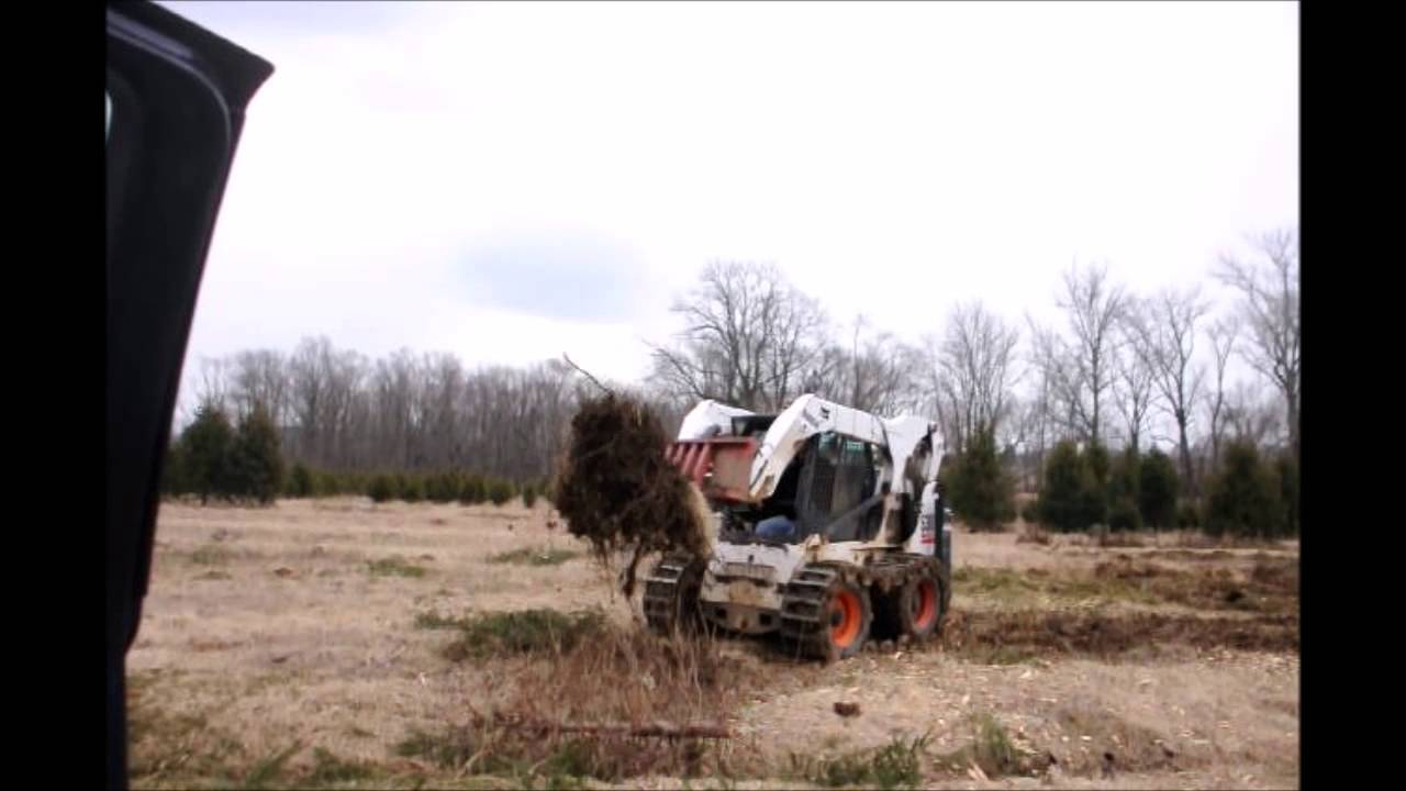 How we pull out tree stumps and roots from a Christmas tree Field - YouTube