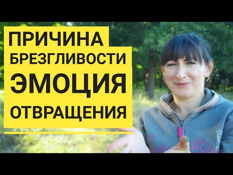 БРЕЗГЛИВОСТЬ. ЭМОЦИЯ ОТВРАЩЕНИЯ. ПСИХОЛОГИЧЕСКАЯ ПРИЧИНА ТОШНОТЫ