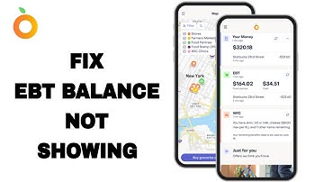 How To Fix And Solve Providers App EBT Balance Not Showing | Final Solution