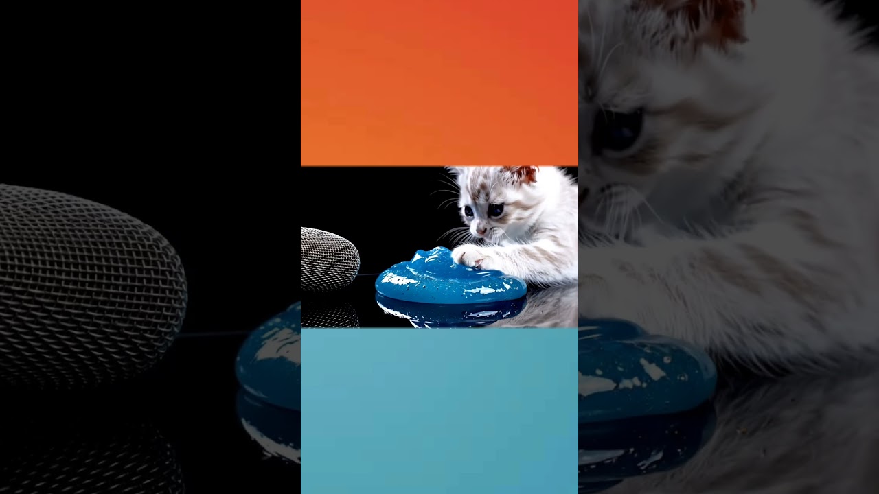 ASMR cat slime 