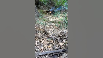 💥500g ANFO detonation💥