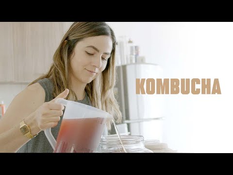 Kombucha Básicos -