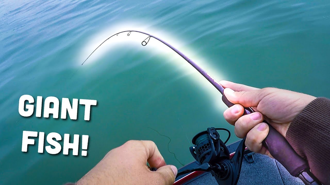 favorite rods and reels