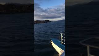 Paseo en catamaran (tierra del fuego-Arg) Ushuaia.