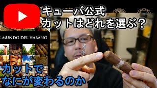 【キューバ公式】カットはどれを選ぶ？
