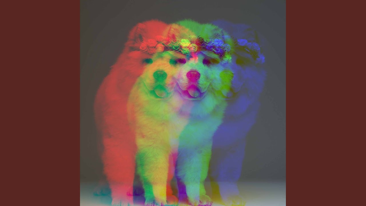 Smart Ambience for Doggy Beach Days