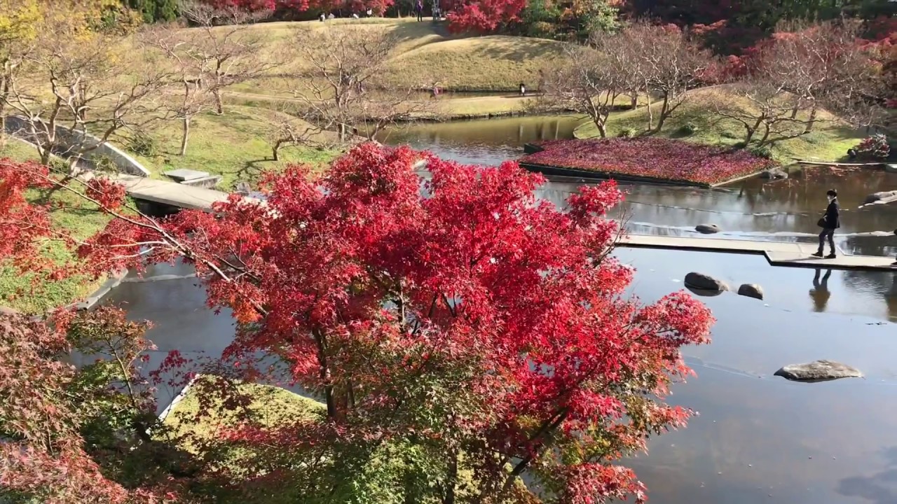 紅葉 京都梅小路公園朱雀の庭 Suzaku No Niwa Garden Autumn Leaves 18kyoto Japan Youtube