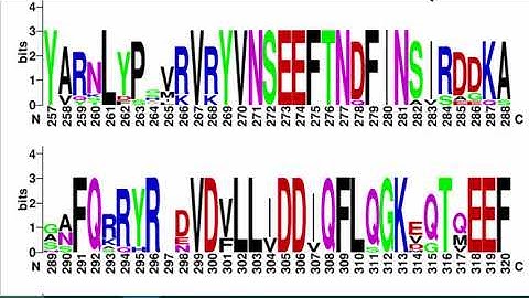 GENI-ACT Module 2 - Sequence Based Similarity - WebLogo Video