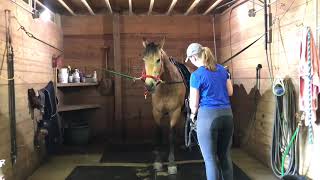 Odie tacking and untacking