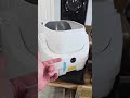 DO NOT BUY Cat Litter Box Ellenpent