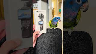 Osmo 4P independent review incoming!