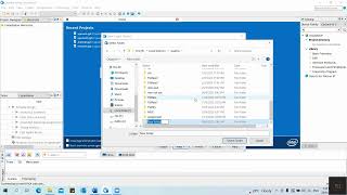 Celebrity Import File in Quartus Prime Wealth