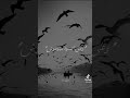 خلق بتسرق عمرك سرقة 