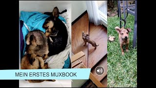Mein erstes MuxBook - Ein Book Creator Tutorial für Kinder screenshot 5