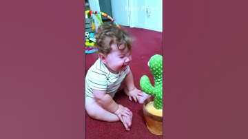 Meme Baby Cry vs Cactus Talking Toy #shorts #babies #funnyplanet