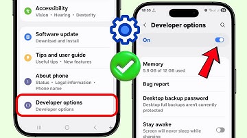 How to Enable Developer options on Android (Samsung)