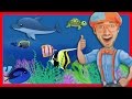 Story Time with Blippi | Treasure Chest