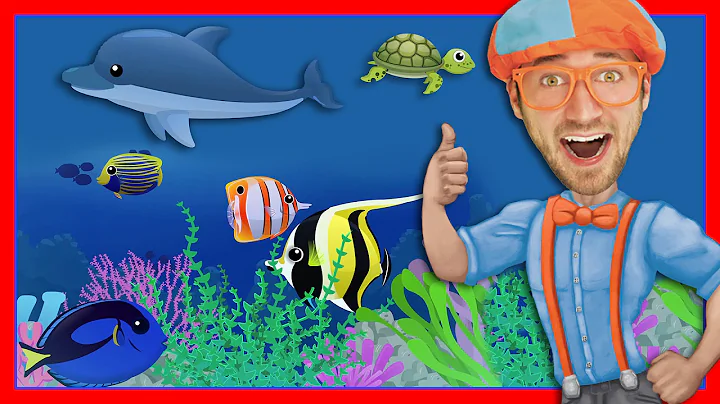 Story Time with Blippi | Treasure Chest