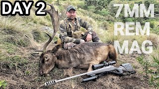 BIG BUCK DOWN  2024 RUT ROAR Trip  Day 2