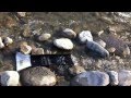 Gold Prospecting in Colorado on Public Land - YouTube