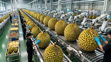 Inside a Modern Durian Factory: From Fresh Harvest to Durian Ice Cream Base (Full Process)