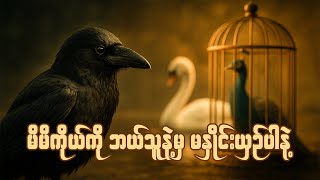 မိမိကိုယ်ကို ဘယ်သူနဲ့မှ မနှိုင်းယှဉ်ပါနဲ့ - Don't Compare Yourself to Anyone!