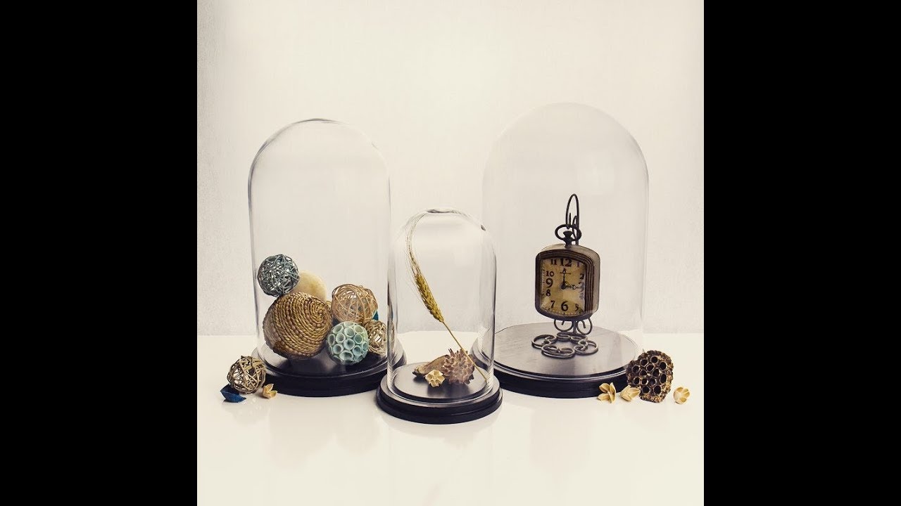 Vase Market Gl Cloche Dome Bell Jar Terrariums You Gl Cloche Dome Bell Jar Terrariums